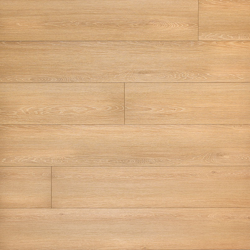 MSI XL Cyrus Valleyview Grove Luxury Vinyl Plank Flooring