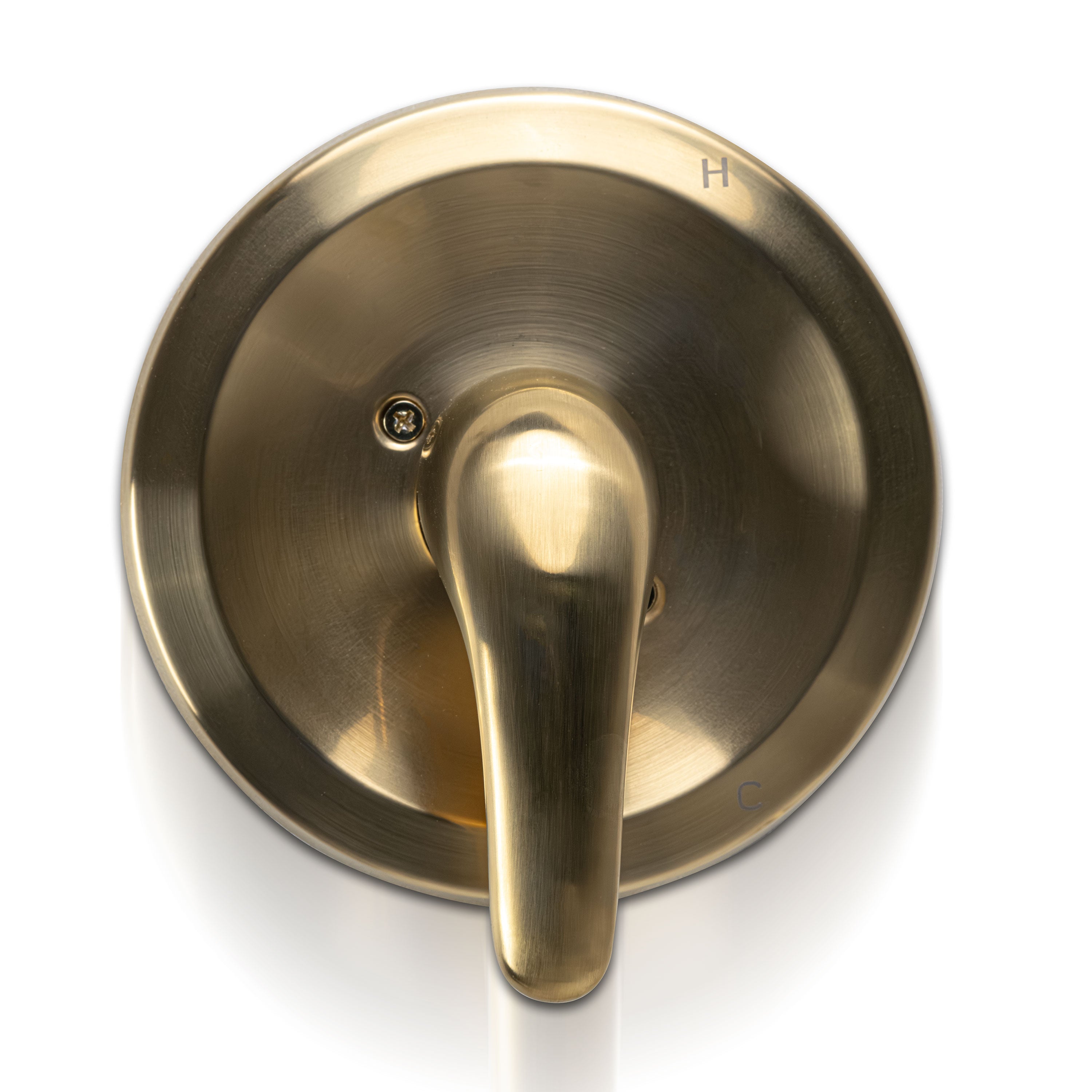 1-Handle 1-Spray Tub and Shower Faucet with Pressure Balance Valve – Gold