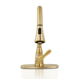 MSI 1 Handle Pull-Down Sprayer Kitchen Faucet - 803 Gold Faucets