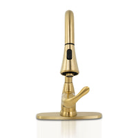 MSI 1 Handle Pull-Down Sprayer Kitchen Faucet — surface detail in gold tonality