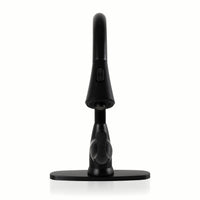 MSI 1-Handle Pull-Down Sprayer Kitchen Faucet with deckplate — surface detail in black tonality