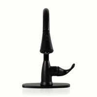 MSI 1-Handle Pull-Down Sprayer Kitchen Faucet with deckplate — surface detail in black tonality
