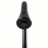 MSI 1-Handle Pull-Down Sprayer Kitchen Faucet with deckplate — surface detail in black tonality