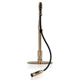 MSI 1-Handle Pull-Down Sprayer Kitchen Faucet with deckplate - 804 Gold Faucets