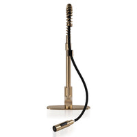 MSI 1-Handle Pull-Down Sprayer Kitchen Faucet with deckplate — surface detail in gold tonality
