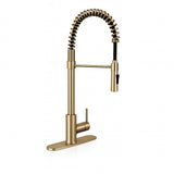 MSI 1-Handle Pull-Down Sprayer Kitchen Faucet with deckplate - 804 Gold Faucets