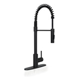 MSI 1-Handle Pull-Down Sprayer Kitchen Faucet with deckplate - 804 Matte Black Faucets