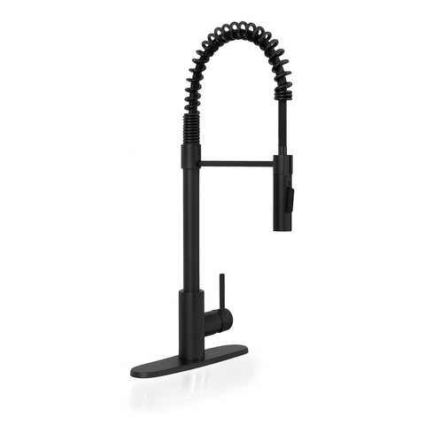 MSI 1-Handle Pull-Down Sprayer Kitchen Faucet with deckplate - 804 Matte Black Faucets