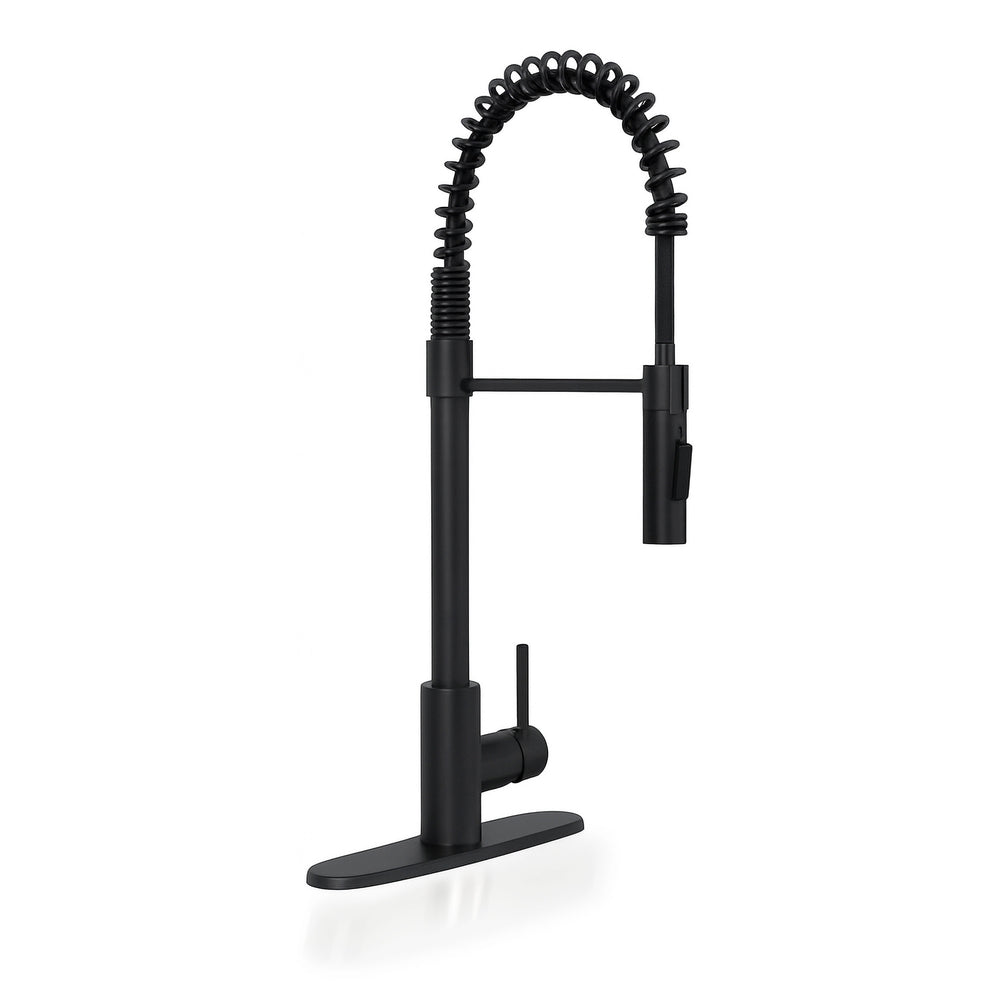 MSI 1-Handle Pull-Down Sprayer Kitchen Faucet with deckplate in black tonality