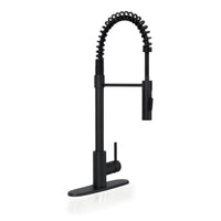MSI 1-Handle Pull-Down Sprayer Kitchen Faucet with deckplate in black tonality
