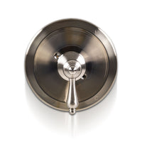 MSI 1 Handle Shower/Tub Faucet With Valve- 607 Brush Nickel Faucets — surface detail in natural tonality