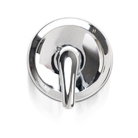 MSI 1 Handle Shower/Tub Faucet With Valve- 608 Chrome Faucets — surface detail in natural tonality