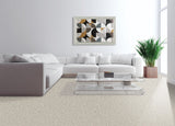 Mohawk Canine Chic Carpet