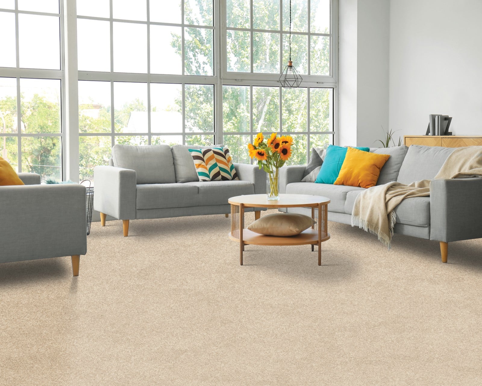 Mohawk Paw Pathway in Midsummer Light, Carpet room scene