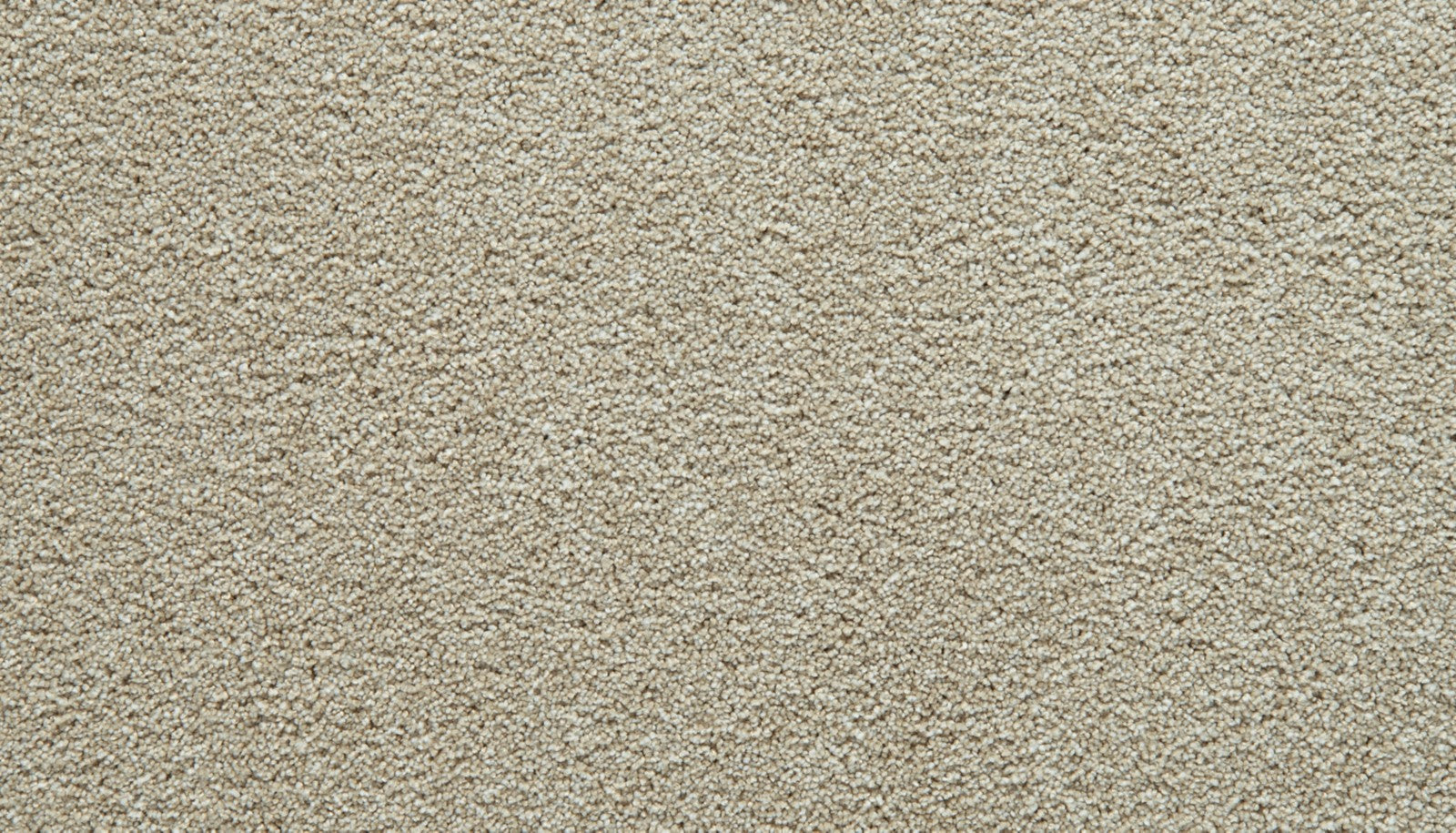 Mohawk Gentle Guardian II in Summer Breeze, Carpet product detail