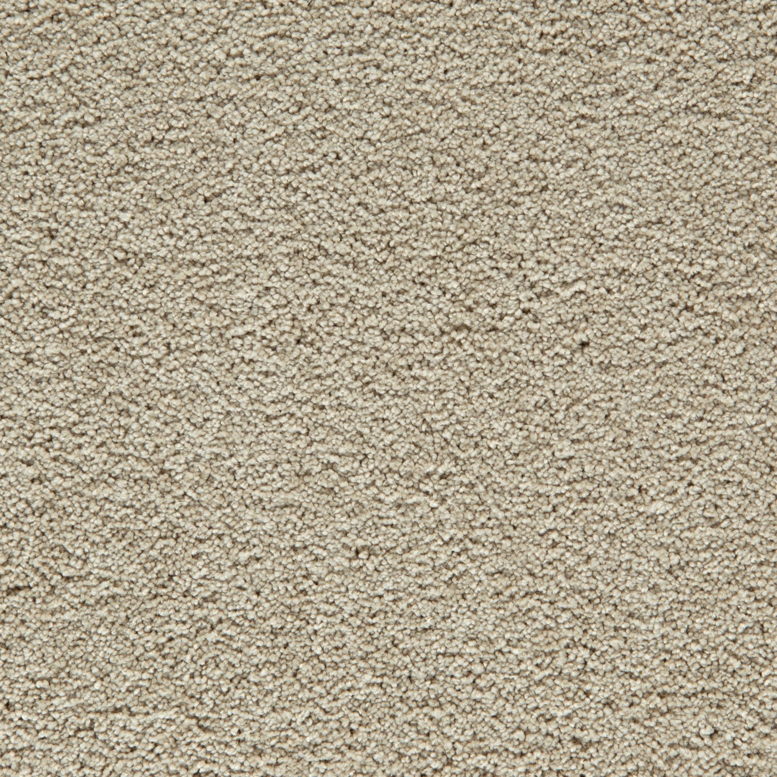 Mohawk Gentle Guardian II in Sandy Beach, Carpet product detail
