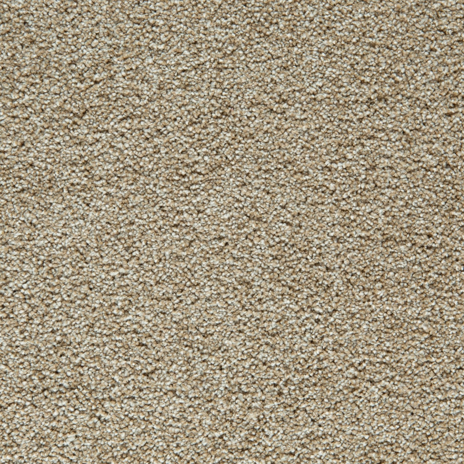 Mohawk Gentle Guardian II in Harmony, Carpet product detail