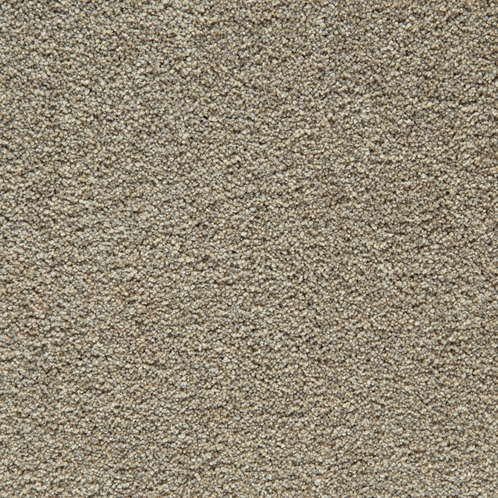 Mohawk Gentle Guardian II in Rainstorm, Carpet product detail