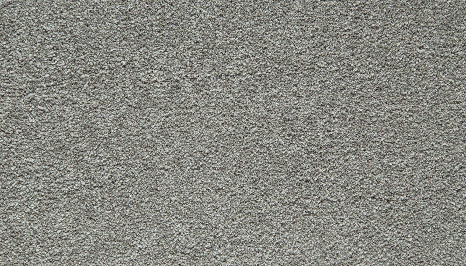 Mohawk Gentle Guardian II in Subtle Gray, Carpet product detail
