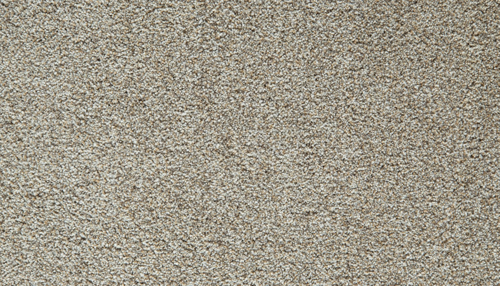 Mohawk Cozy Companion II in Soapstone, Carpet product detail