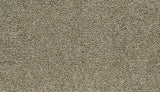 Mohawk Cozy Companion II Carpet