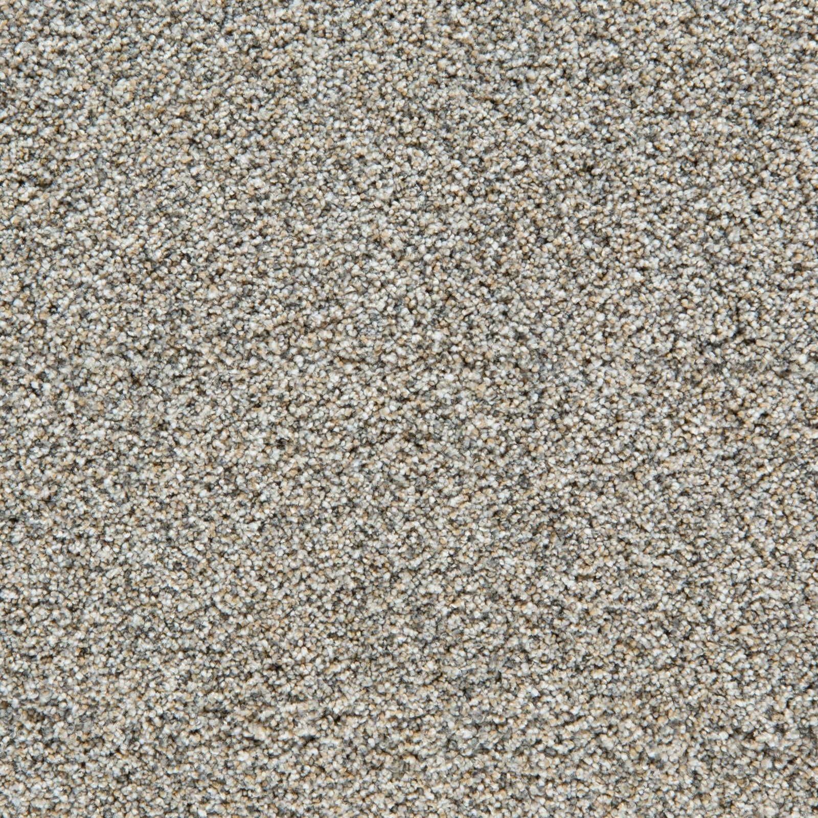 Mohawk Cozy Companion II in London Fog, Carpet product detail