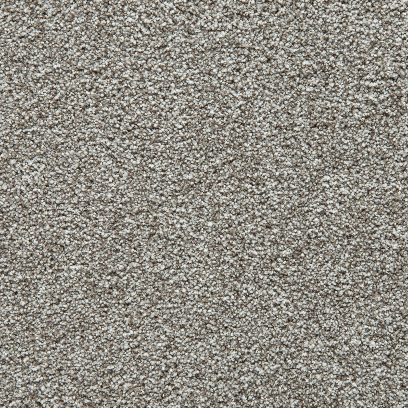 Mohawk Cozy Companion II in Winter, Carpet product detail