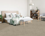 Mohawk Balance I Carpet
