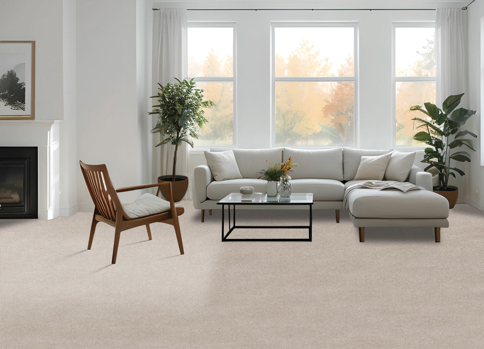 Mohawk Balance II in Chino, Carpet room scene
