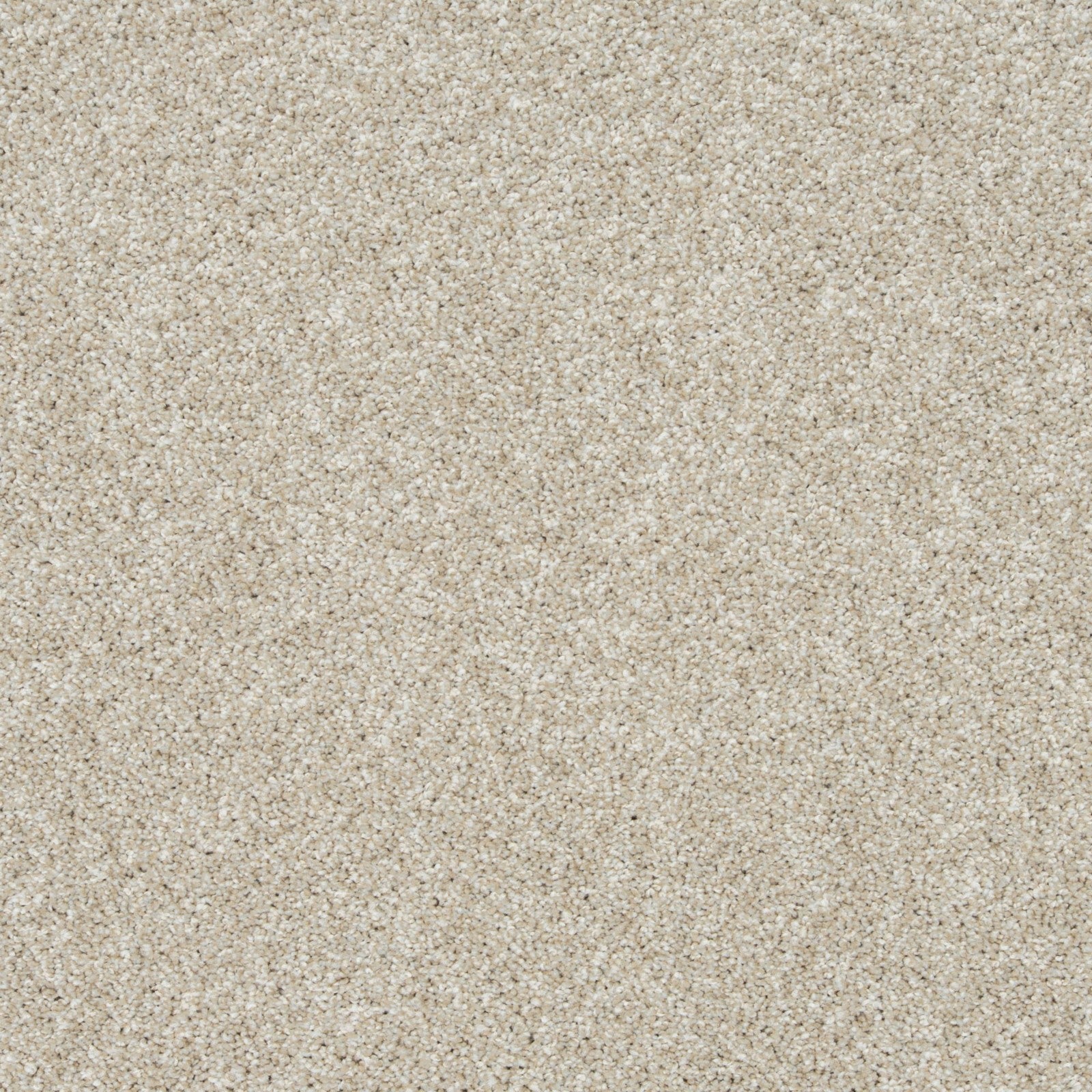 Mohawk Apollo II in Champagne Mist, Carpet product detail