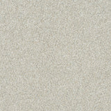 Mohawk Apollo II Carpet