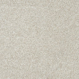 Mohawk Apollo II Carpet