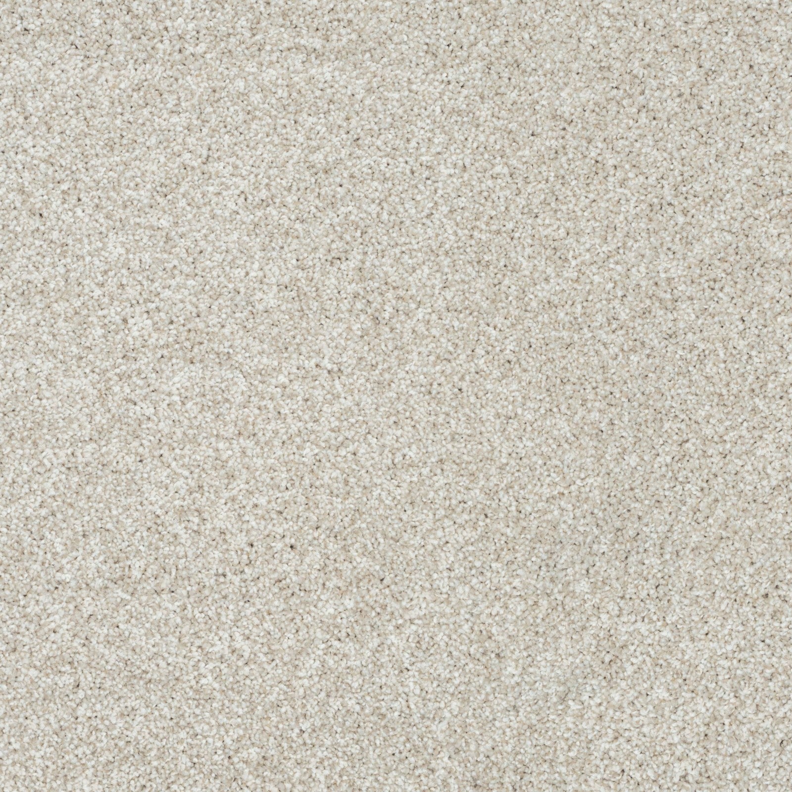 Mohawk Apollo II in Biscotti, Carpet product detail