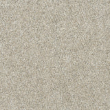 Mohawk Apollo II Carpet