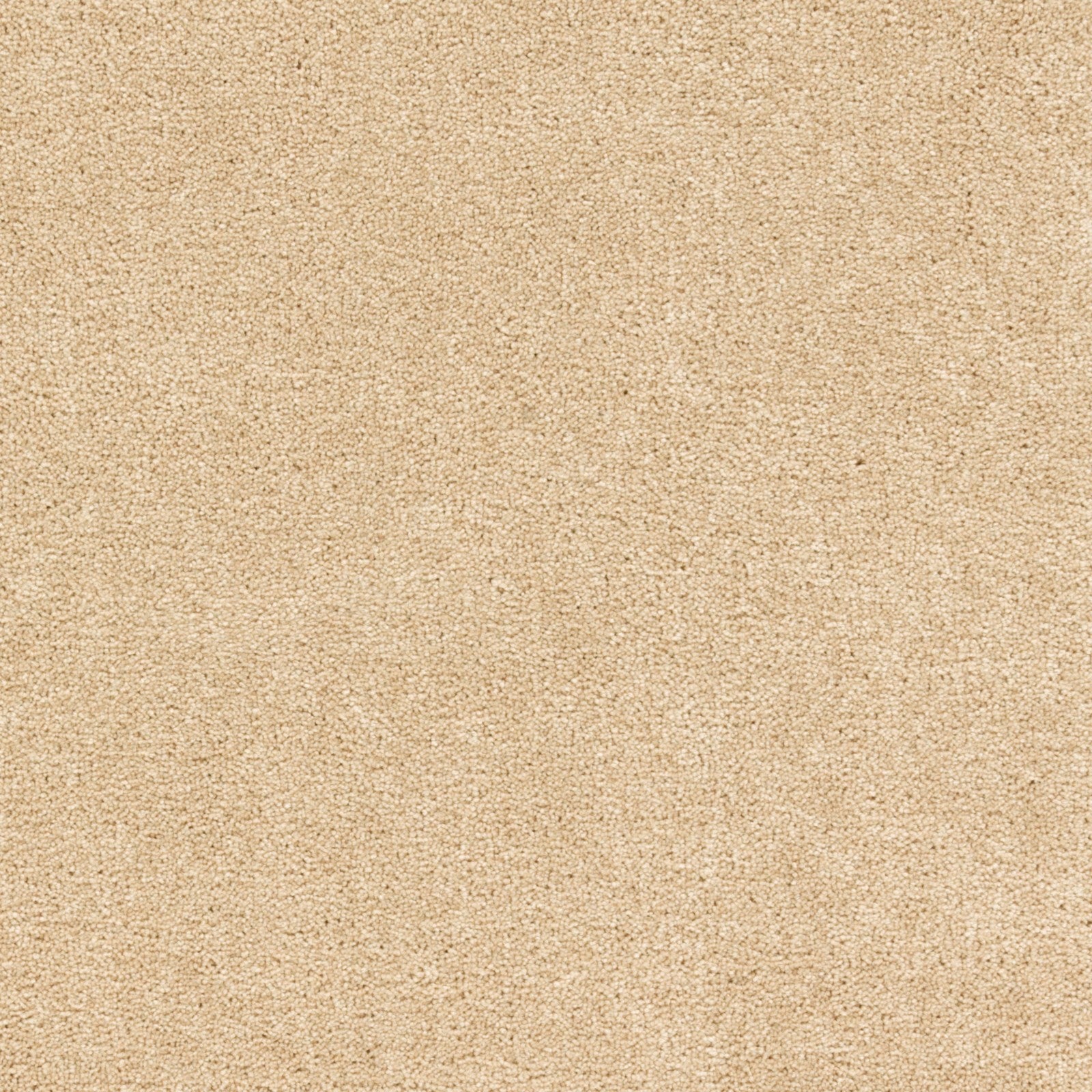 Mohawk Treasure Valley in Autumn Ash, Carpet product detail