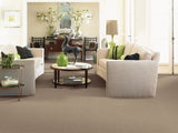 Mohawk Natural Intuition Carpet