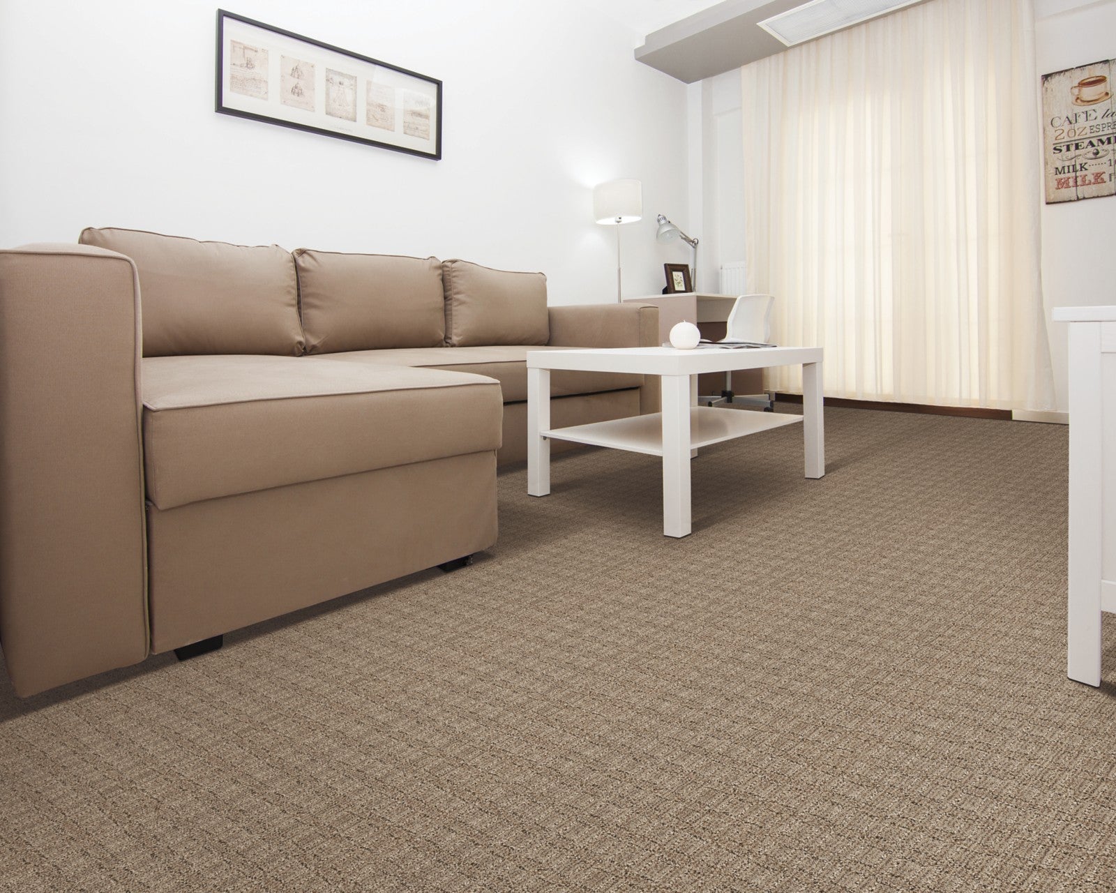 Mohawk Refined Interest in Black Walnut, Carpet room scene