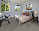 Mohawk Tonal Chic I Carpet