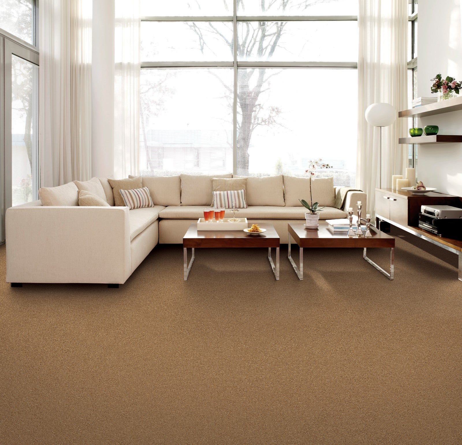 Mohawk Homefront I in Polished Nickel, Carpet room scene