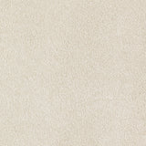 Mohawk Brilliant Idea Carpet