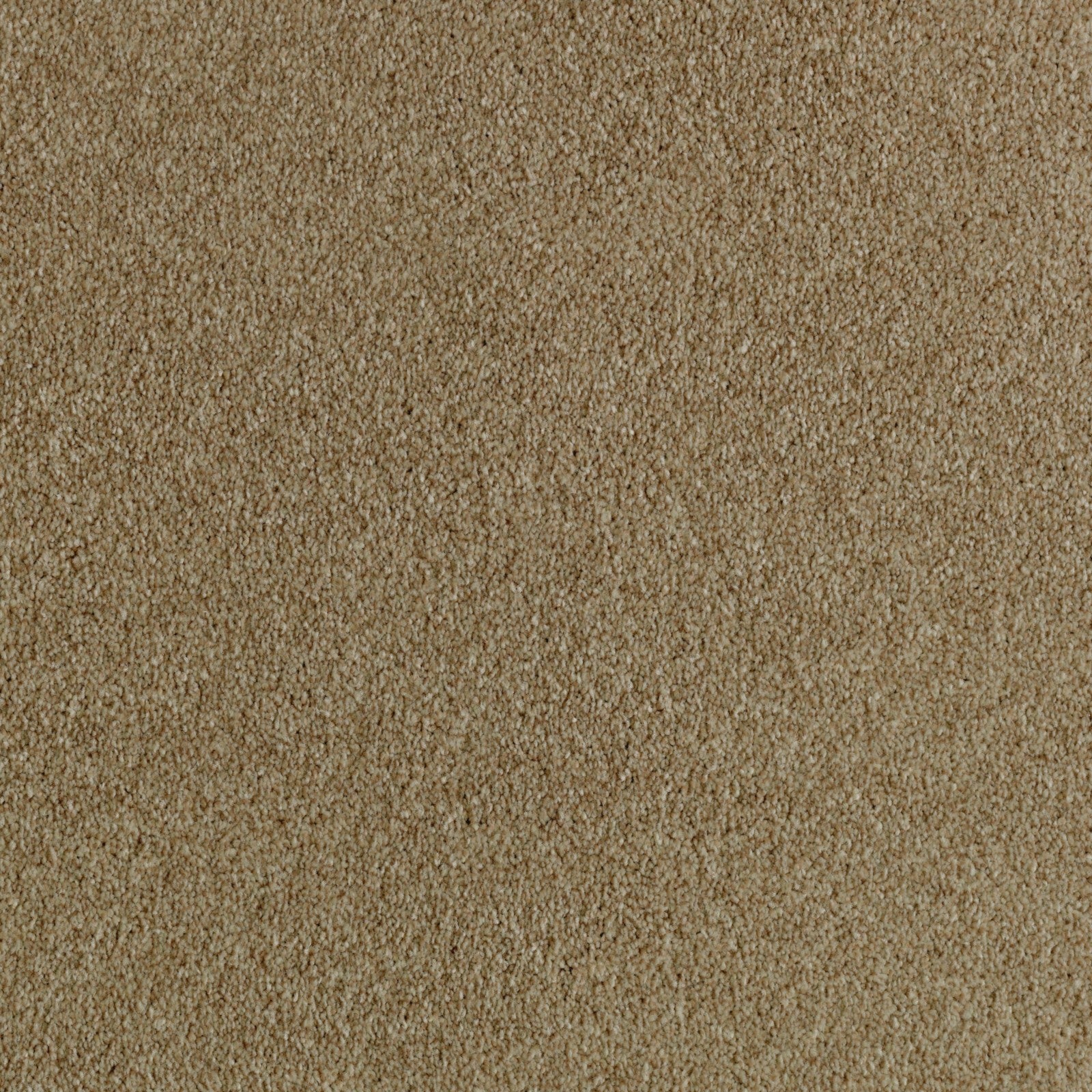 Mohawk Brilliant Idea in Sparkling Cider, Carpet product detail