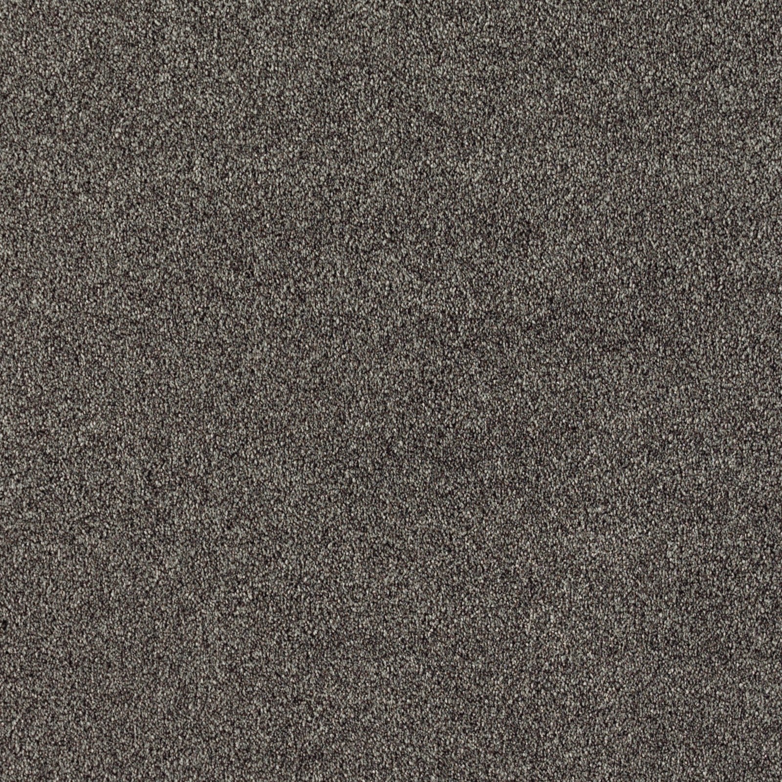 Mohawk Brilliant Idea in Magnetic, Carpet product detail
