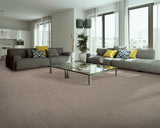 Mohawk Industrial Elegance Carpet