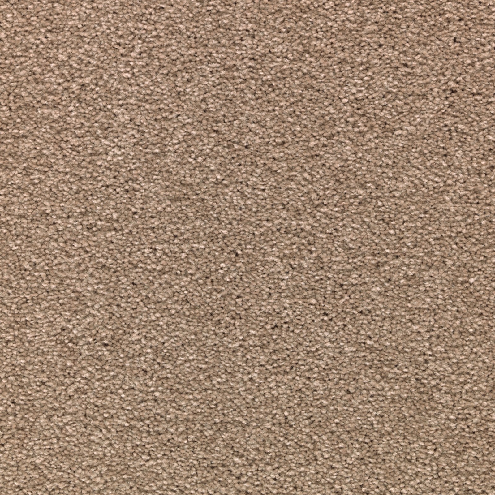 Mohawk Striking Option in Mushroom Cap, Carpet product detail