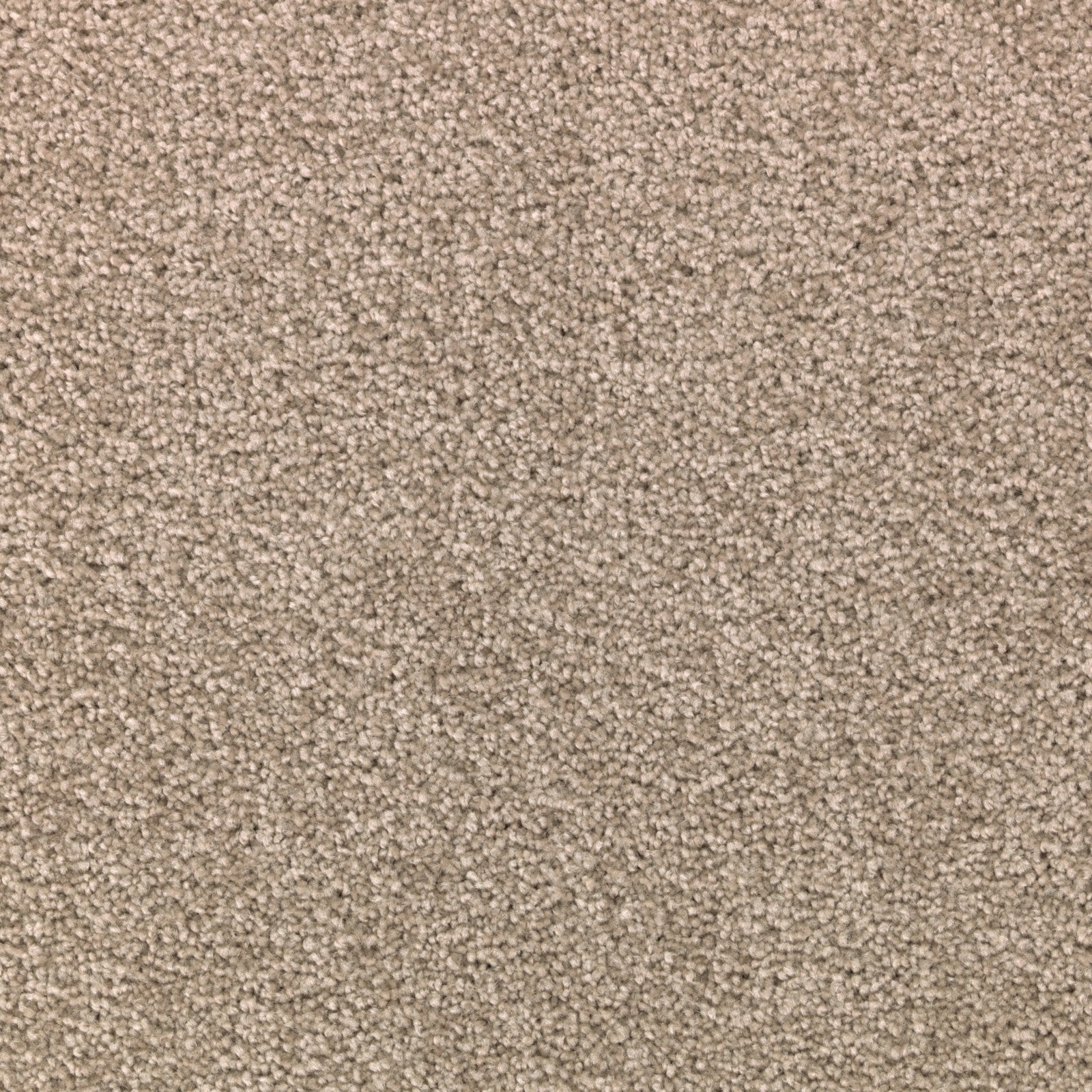 Mohawk Striking Option in Walnut Frost, Carpet product detail
