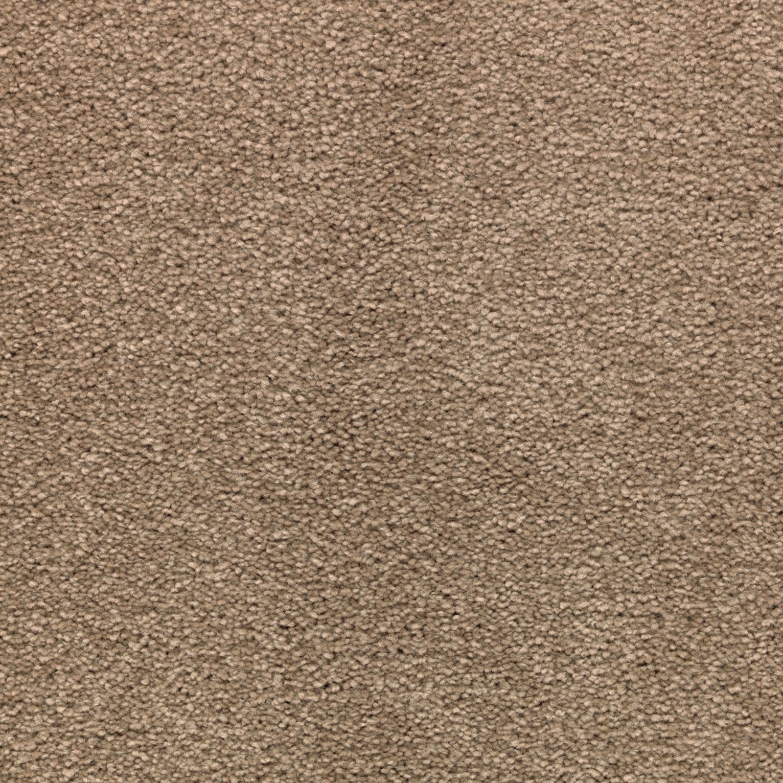 Mohawk Striking Option in Montego, Carpet product detail