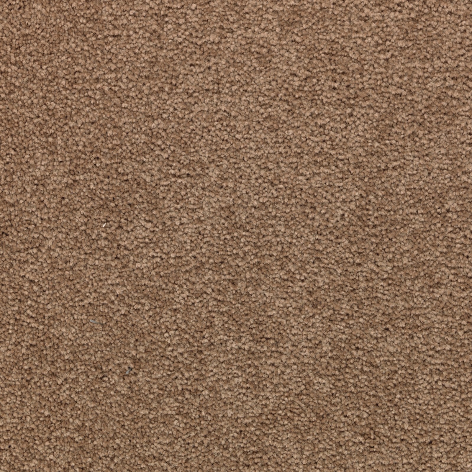 Mohawk Striking Option in Nouveau, Carpet product detail