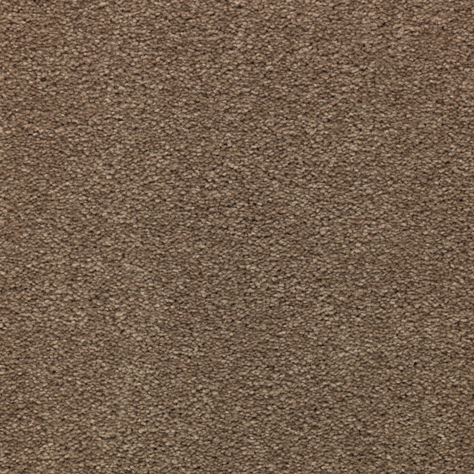 Mohawk Striking Option in Timberlane, Carpet product detail