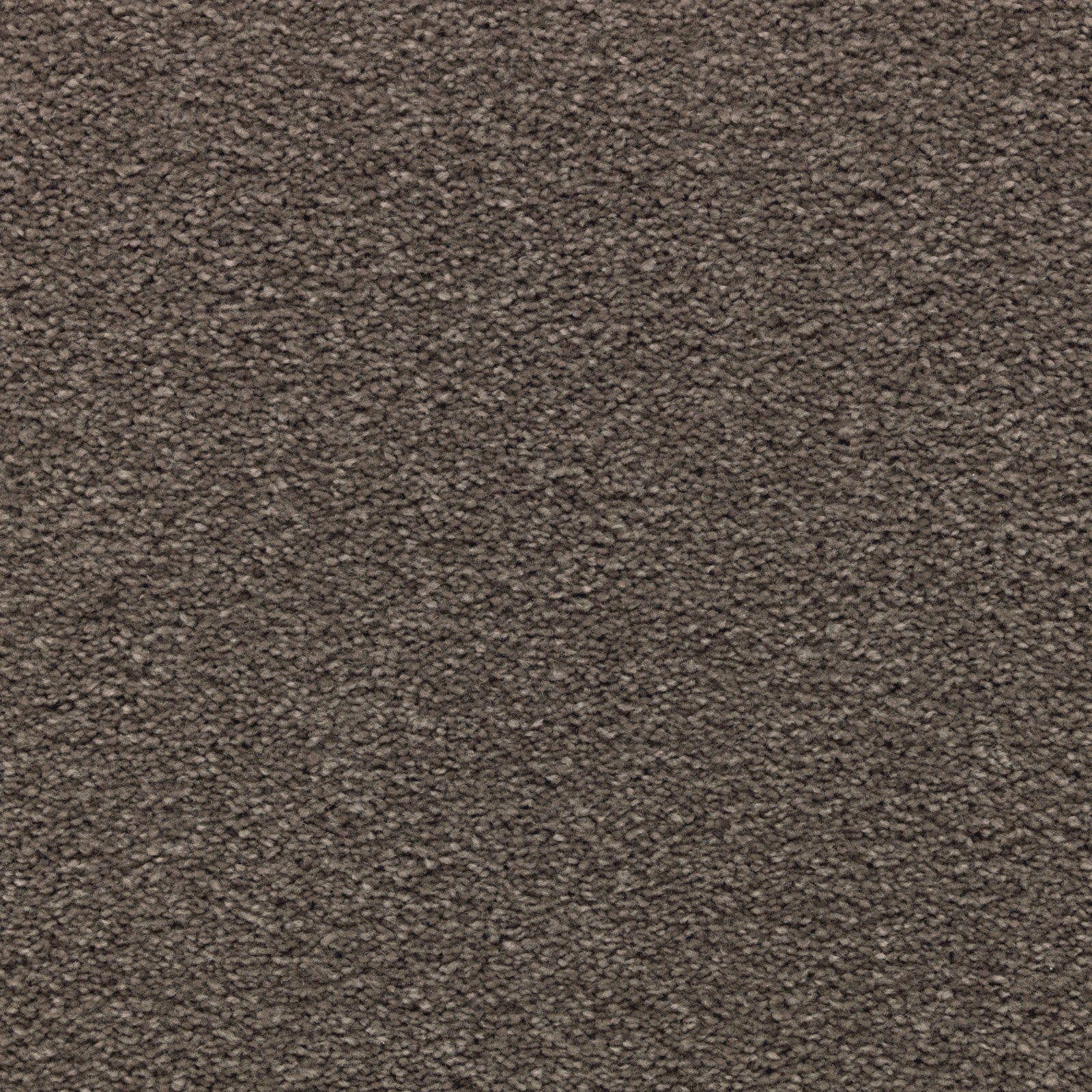 Mohawk Striking Option in Manor House, Carpet product detail