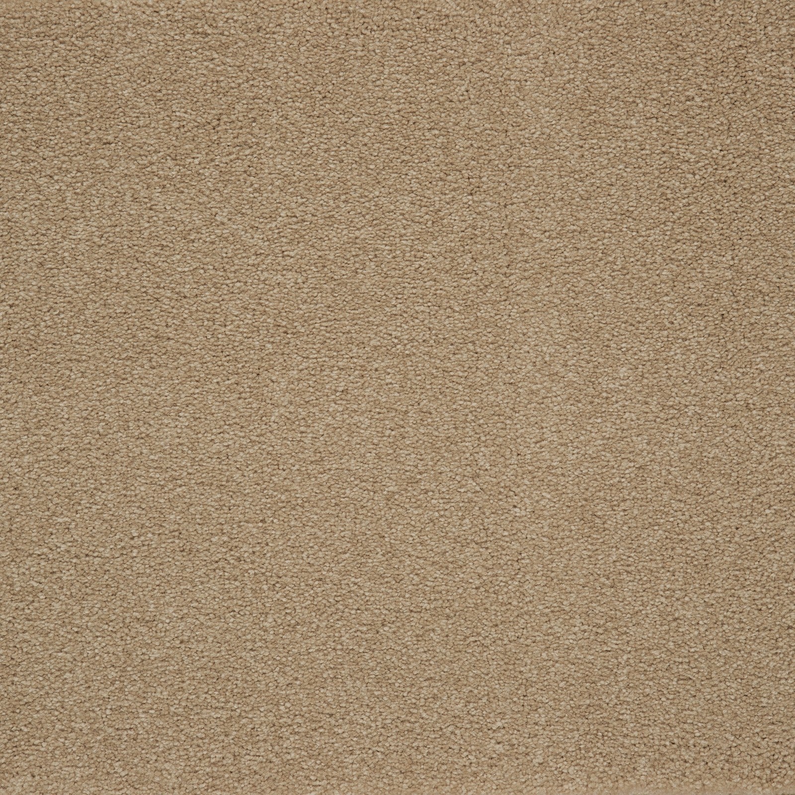 Mohawk Memorable View in Canyon Shade, Carpet product detail